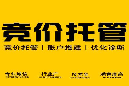 揭秘SEM竞价托管：实战案例深度解析